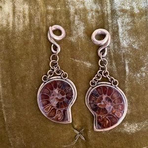 Ammonite (fossil) Earrings